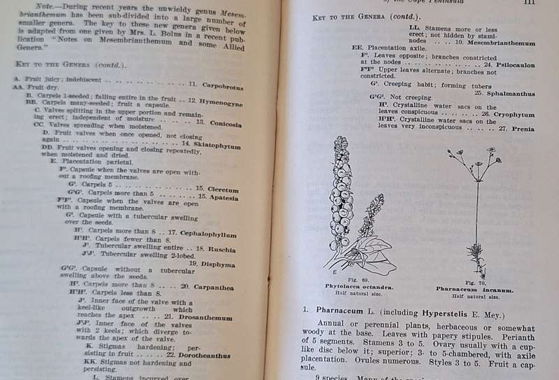 A Guide to the Flora of The Cape Peninsula by M.R Levyns Hardcover Introduction dated 1929