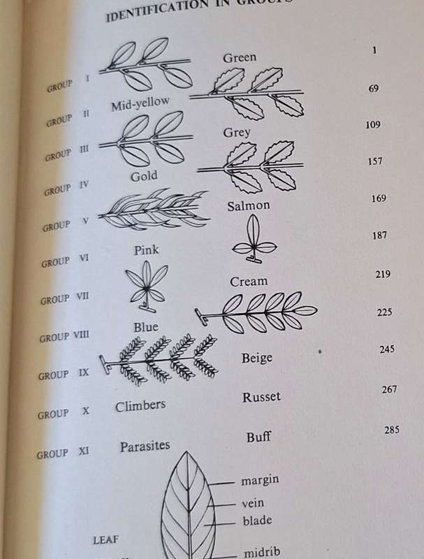 Trees and Shrubs of the Witwatersrand An Illustrated Guide Hardcover 1964 No. 361 of 400 Signed