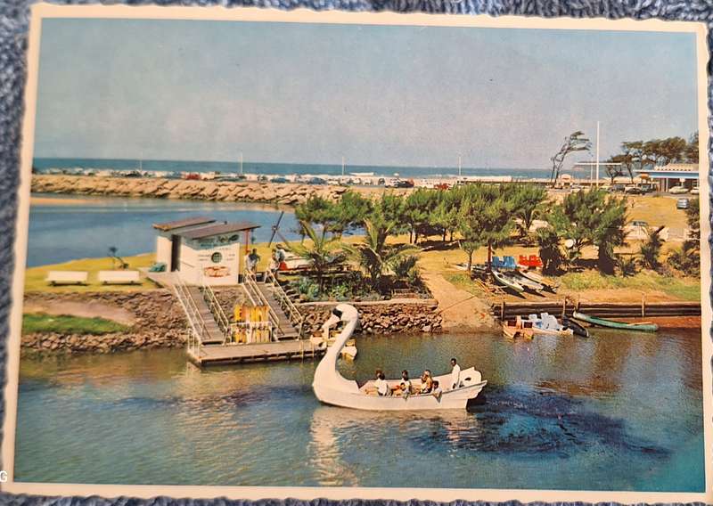 Post Card 1970's Durban (Arthur English Colour Print)