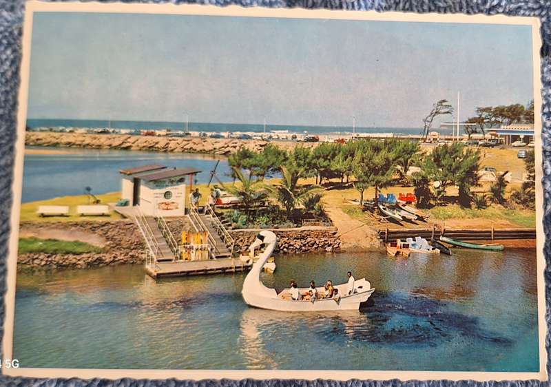 Post Card 1970's Durban (Arthur English Colour Print)