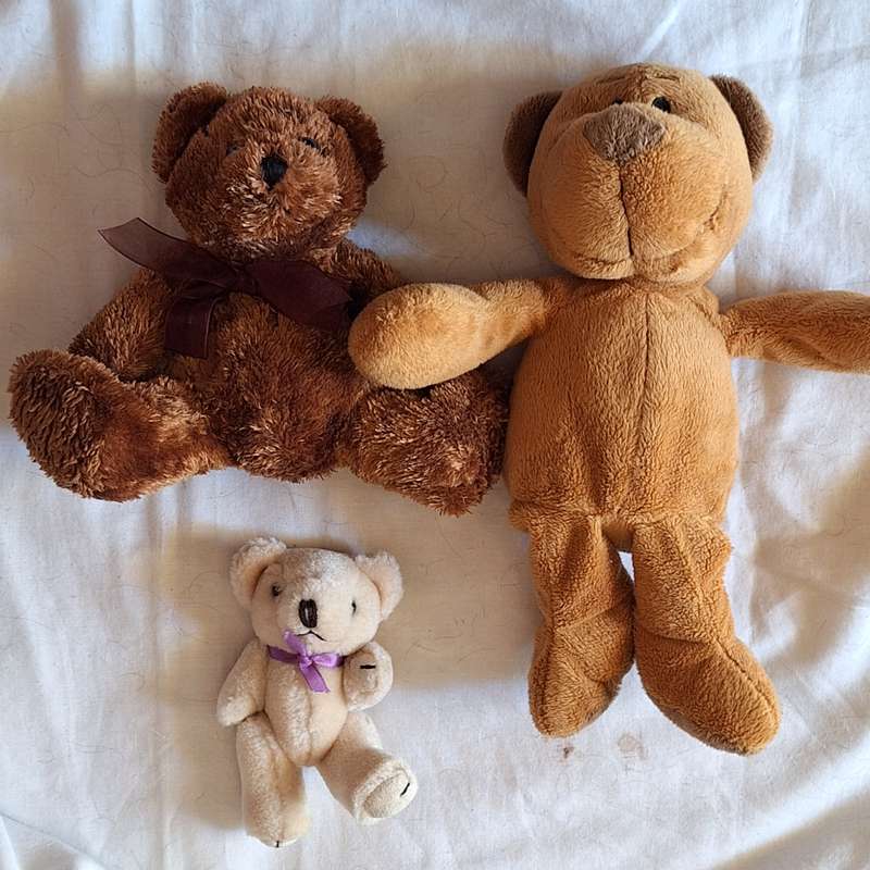 Teddy Bears