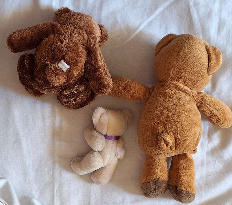 Teddy Bears