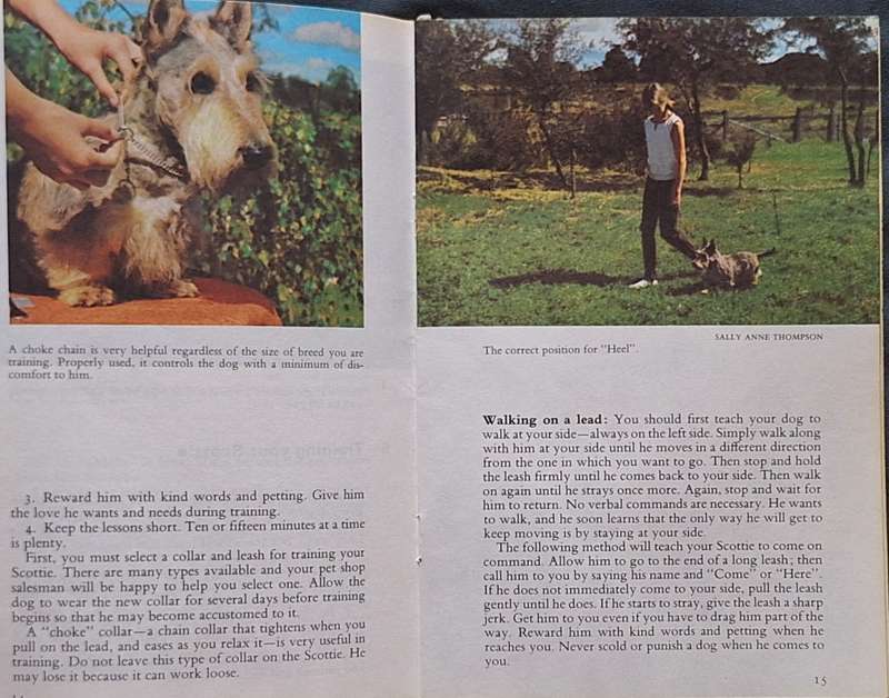 Enjoy Your Scottish Terrier Ed: Earl Schneider The Pet Library Booklet