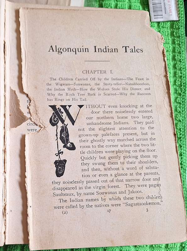 Algonquin Indian Tales by Egerton R Young Hardcover