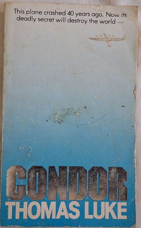 Condor by Thomas Luke Paperback