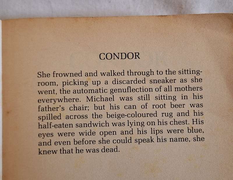 Condor by Thomas Luke Paperback