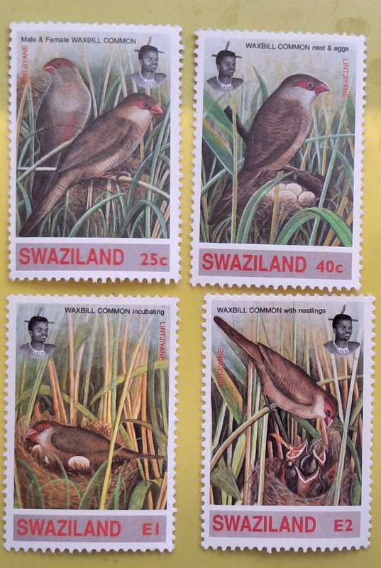 Swaziland 1993 Birds Set of 4 Mint Stamps