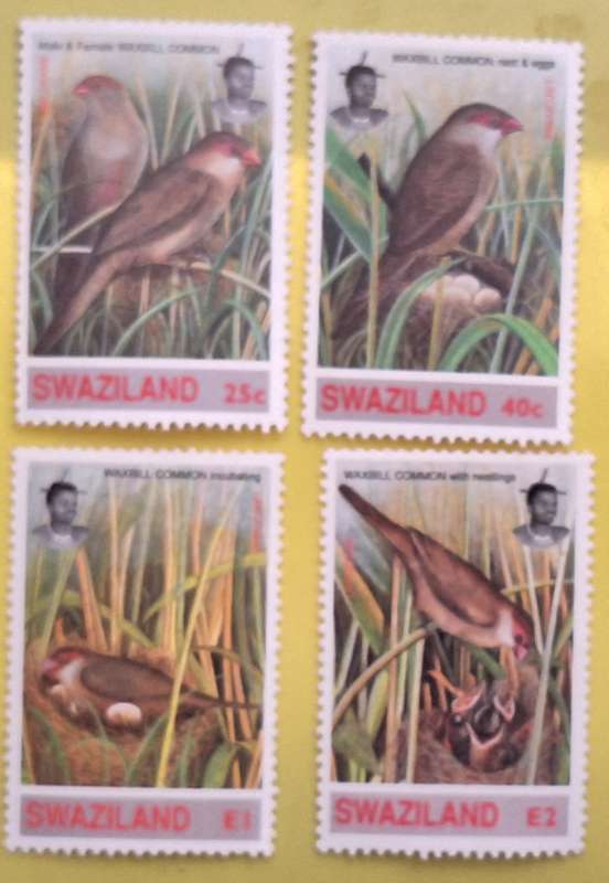 Swaziland 1993 Birds Set of 4 Mint Stamps