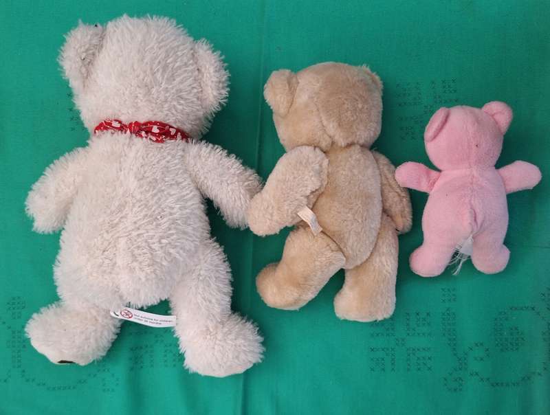3 Soft Toys Bears