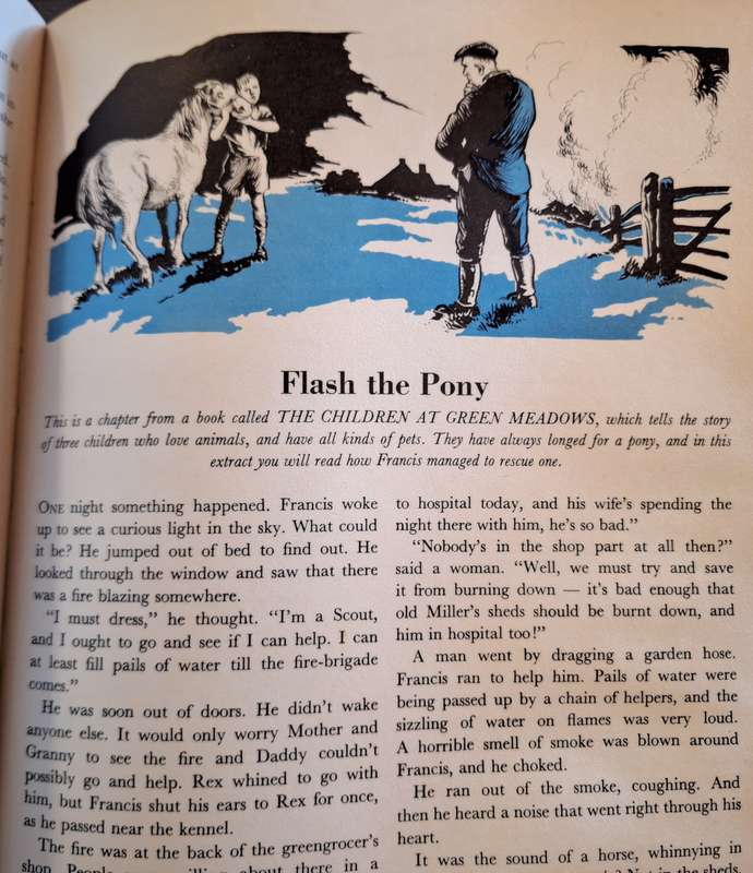 The Big Enid Blyton Book Hardcover  1976