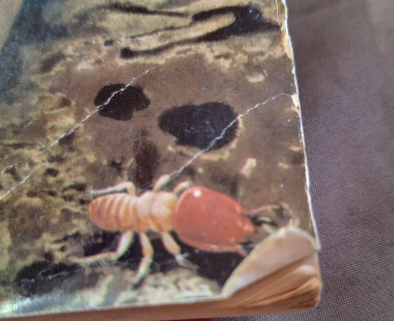 The Soul of the White Ant by Eugene Marais Paperback