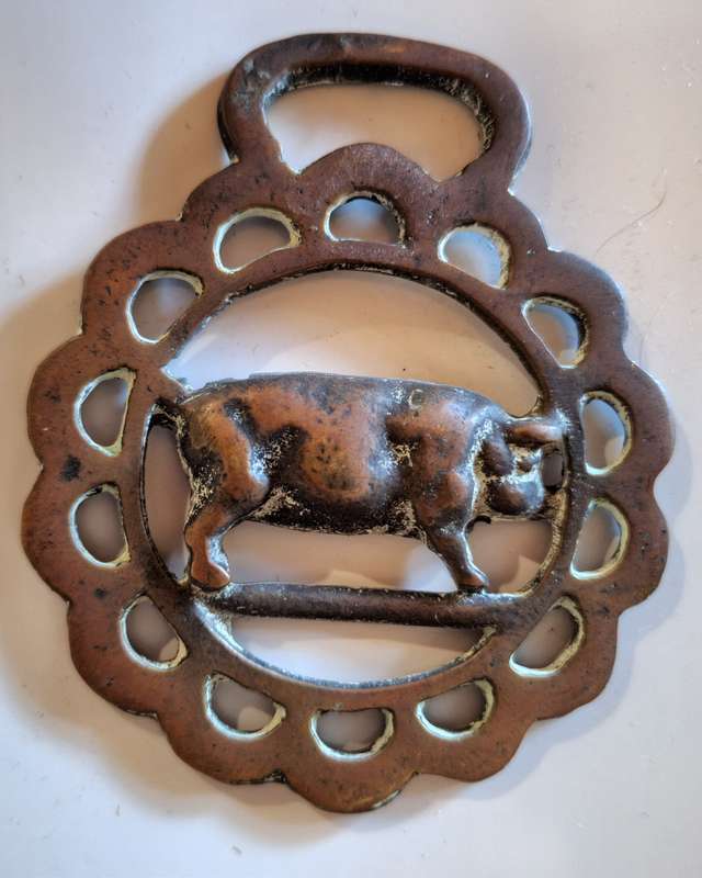 Horse Brass Pig