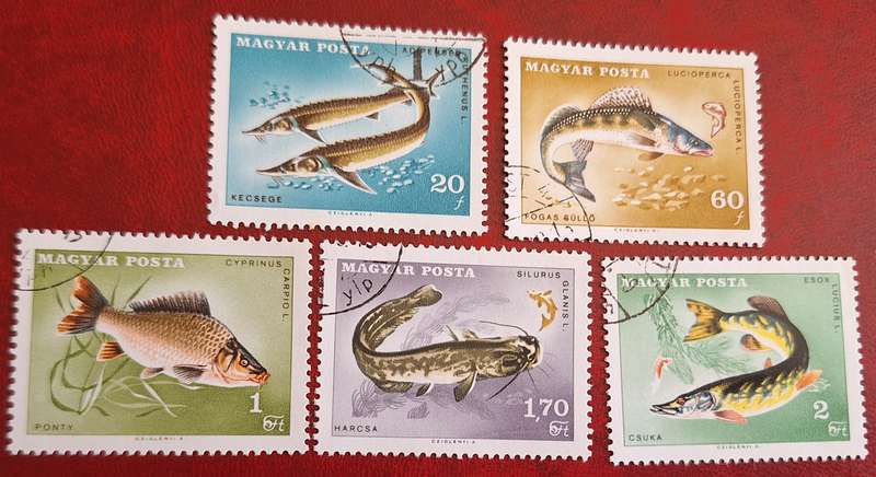 Hungary 1967 Fish 5 Cancelled Hinged stamps