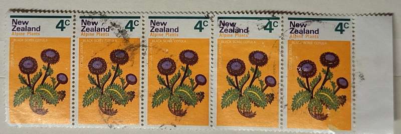 New Zealand 1972 Alpine Flowers 4c Cotula Block of 5 Used stamps
