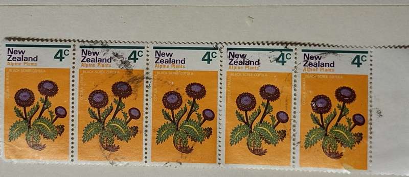 New Zealand 1972 Alpine Flowers 4c Cotula Block of 5 Used stamps