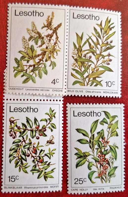 Lesotho 1979 Trees Set of 4 Mint stamps