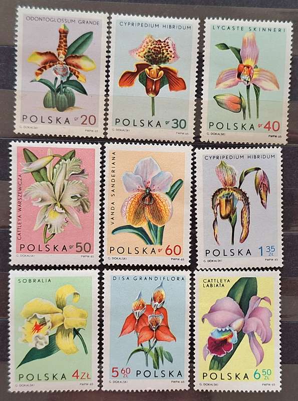 Poland 1965 Flowers Orchids Set of 9 Mint stamps