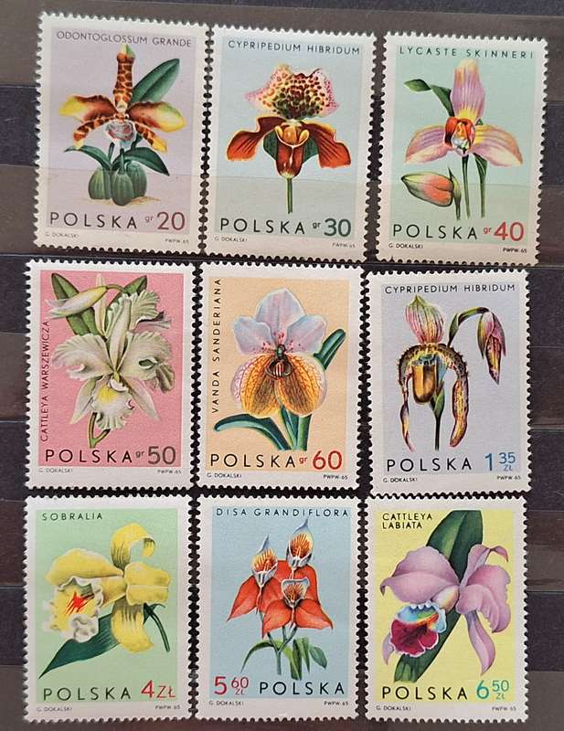 Poland 1965 Flowers Orchids Set of 9 Mint stamps