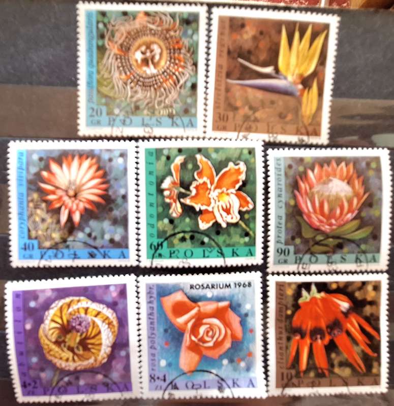 Poland 1968 Flowers Set of 8 Cancelled stamps