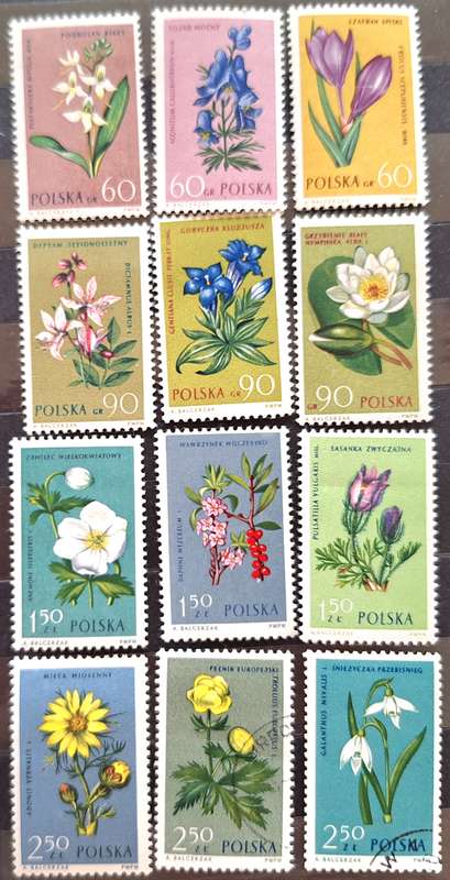 Poland 1962 Flowers Set of 12 Stamps Made up of 11 Mint and 1 Used stamp