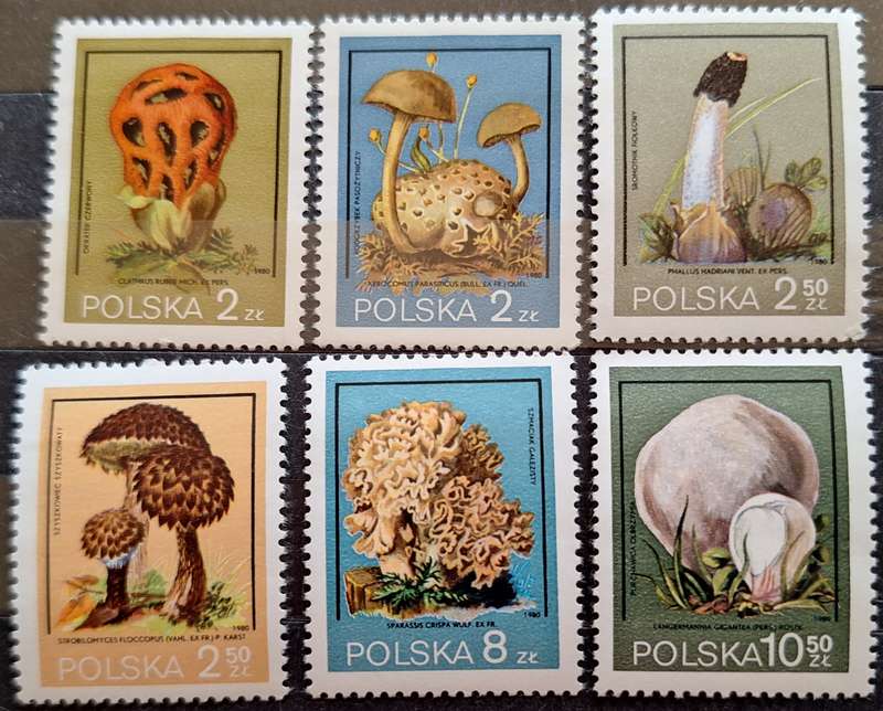 Poland 1980 Mushrooms, Flora, Fungi Set of 6 Mint stamps