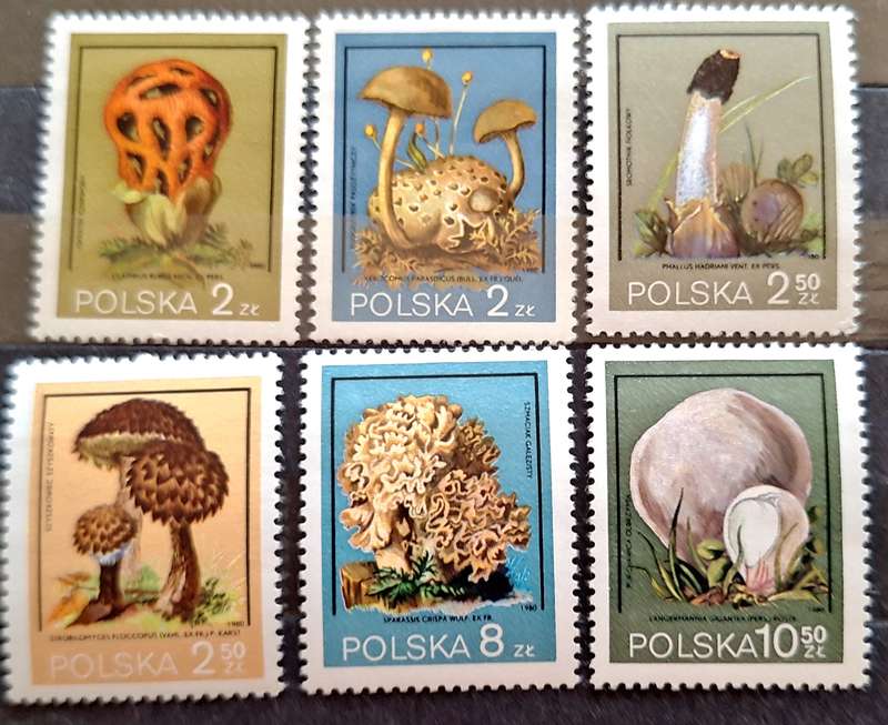Poland 1980 Mushrooms, Flora, Fungi Set of 6 Mint stamps