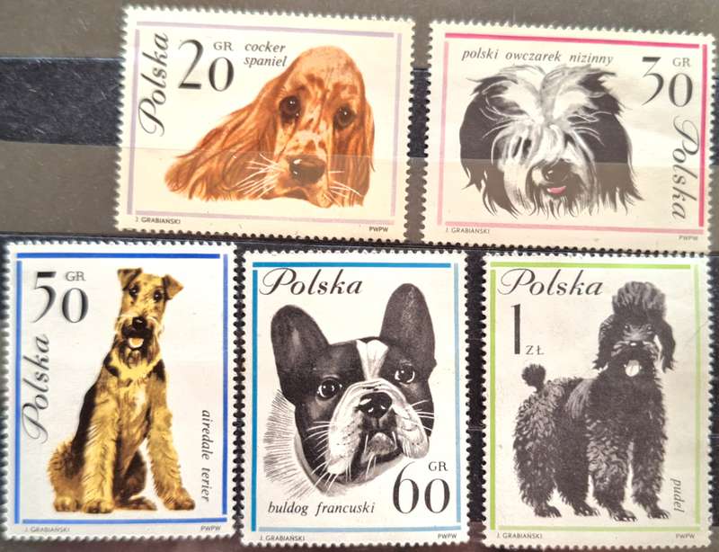 Poland 1963 Dogs 5 Mint stamps