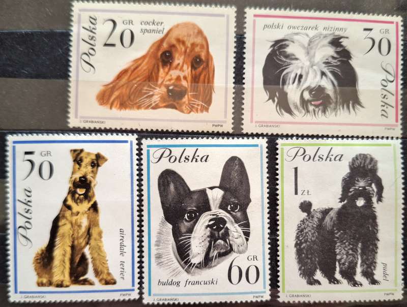 Poland 1963 Dogs 5 Mint stamps