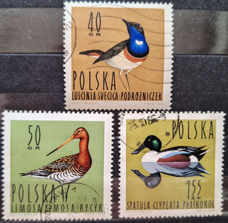 Poland 1964 Water birds 3 Used Hinged stamps