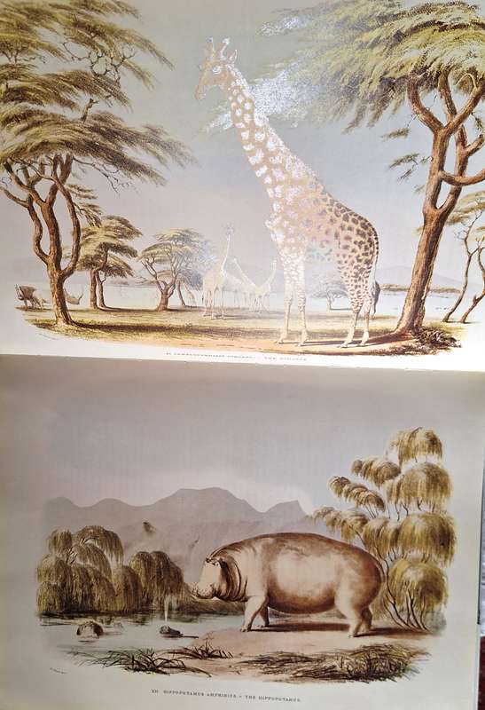 Portraits of the Game and Wild Animals of Southern Africa by Capt. W Cornwallis Harris Hardcover
