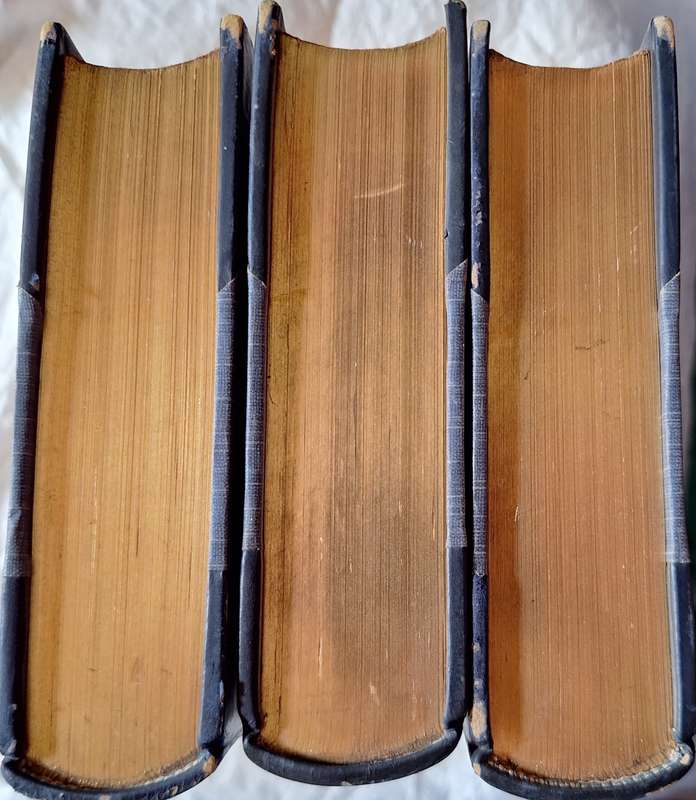 The Rise of the Dutch Republic: A History by John Lothrop Motley New Edition in 3 Volumes Undated
