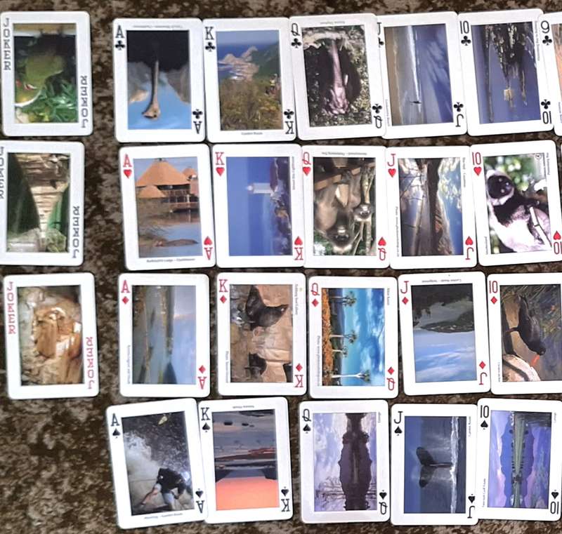 South African Playing Cards The Garden Route and Klein Karoo by Protea Playing Cards