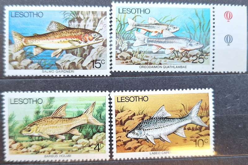Lesotho 1977 Fish Set of 4 Mint stamps