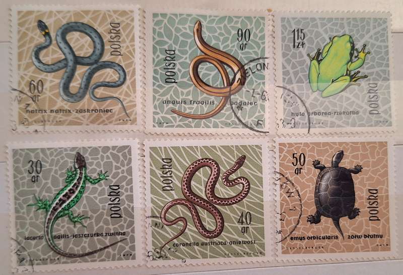 Poland 1963 reptiles amphibians frogs snakes lizards 6 Cancelled Hinged stamps