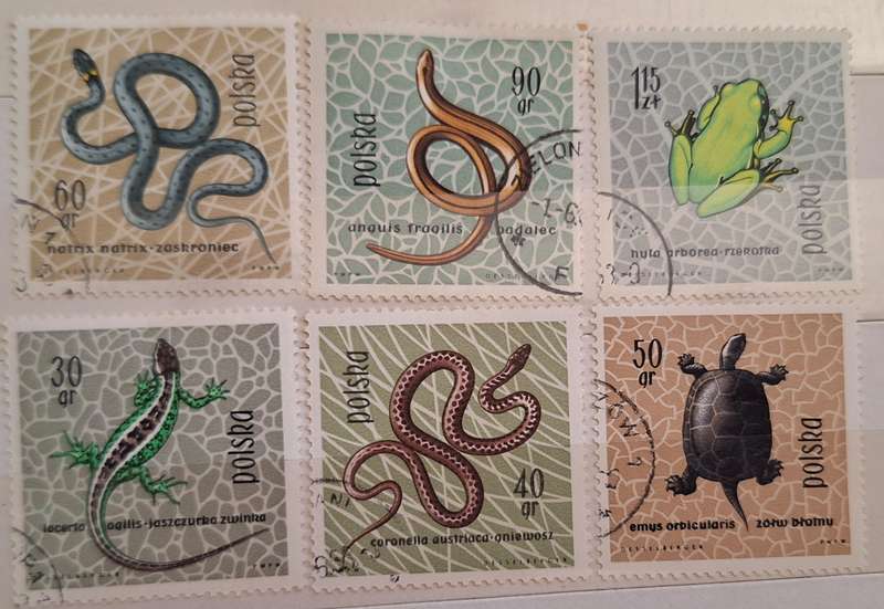Poland 1963 reptiles amphibians frogs snakes lizards 6 Cancelled Hinged stamps