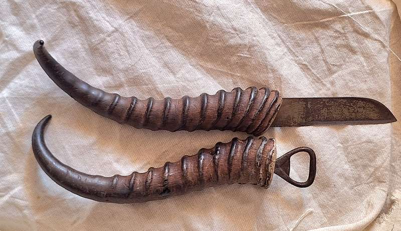 Horn Handle Knife and Bottle Opener