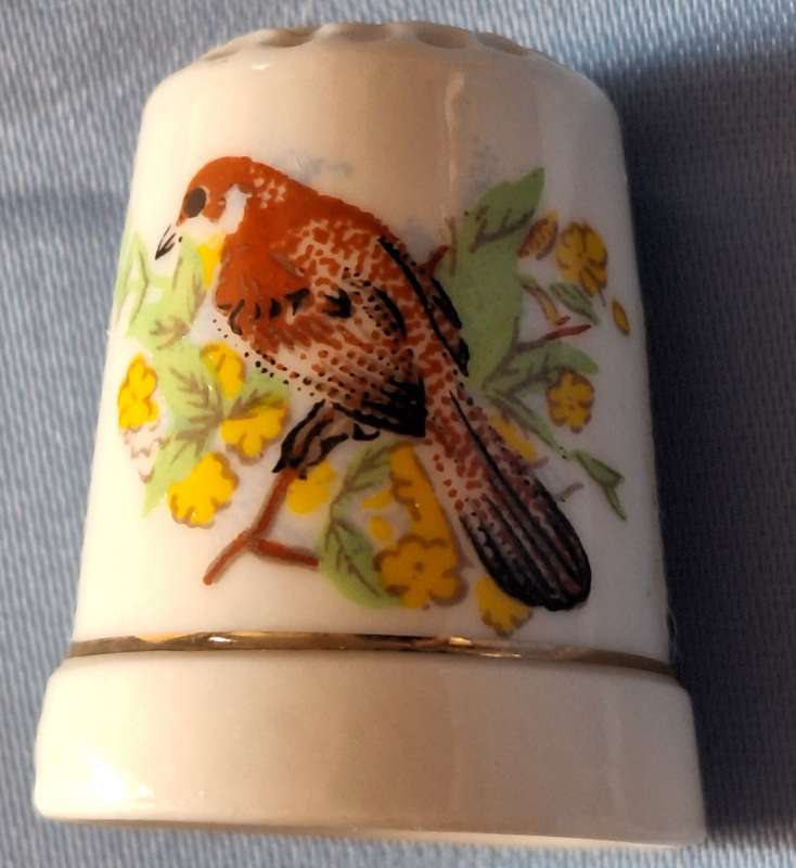 Thimble Bird