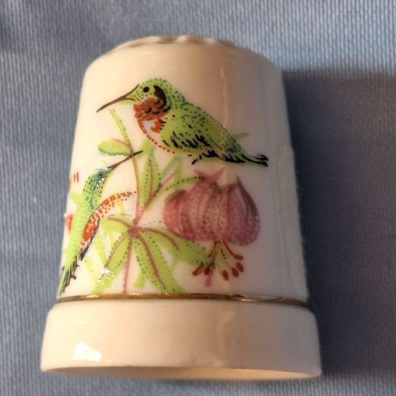 Thimble Bird