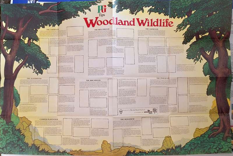 PG Tips 1980s Poster without Cards:  Woodland Wildlife