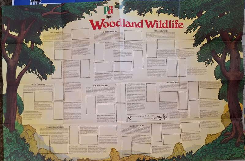 PG Tips 1980s Poster without Cards:  Woodland Wildlife