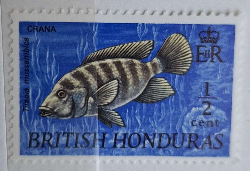 British Honduras 1969 1/2 cent Crana 1 Mint stamp