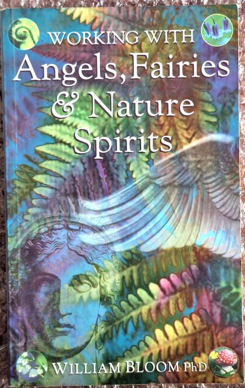 Working with Angels, Fairies & Nature Spirits by William Bloom Paperback