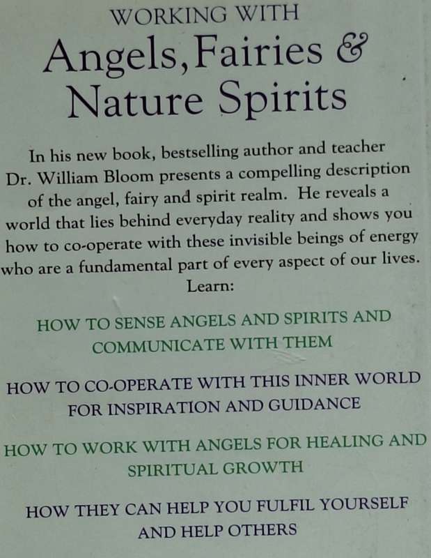 Working with Angels, Fairies & Nature Spirits by William Bloom Paperback