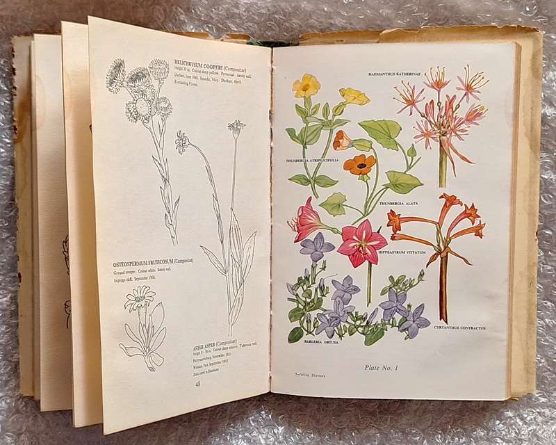 The Wild Flowers of Southern Africa: Natal by Dr Winifred G Wright Hardcover 1963