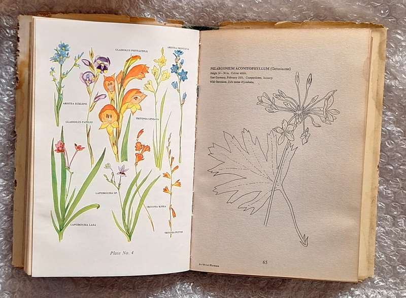 The Wild Flowers of Southern Africa: Natal by Dr Winifred G Wright Hardcover 1963