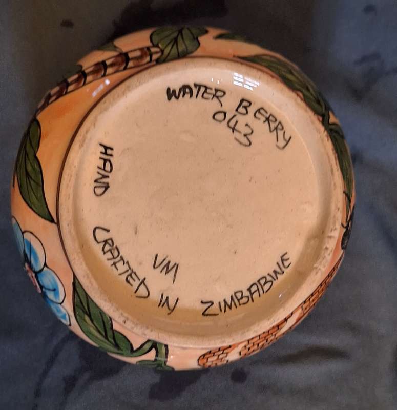 Water Berry Pottery Zimbabwe Lidded Sugar Bowl Dragonfly Design