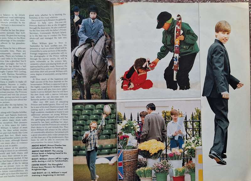 Majesty Vol 16 No 6 June 1995