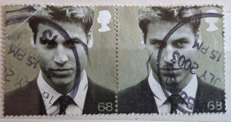 GB 2003 21st Birthday of Prince William of Wales Pair of Used stamps
