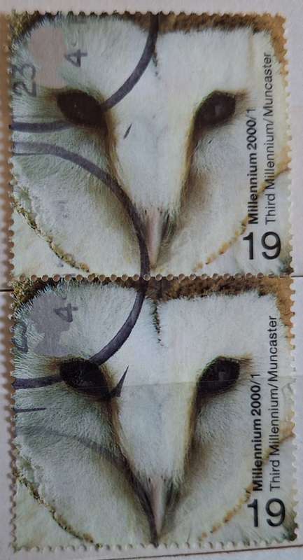 GB 2000 Millennium Above and Beyond: Barn Owl Vertical Pair used stamps