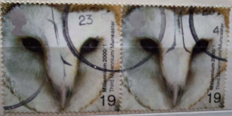 GB 2000 Millennium Above and Beyond: Barn Owl Horizontal Pair used stamps